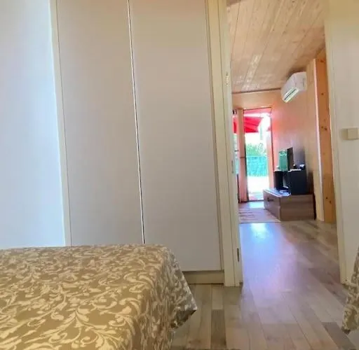 El Meu Petit Jardi 別荘 *